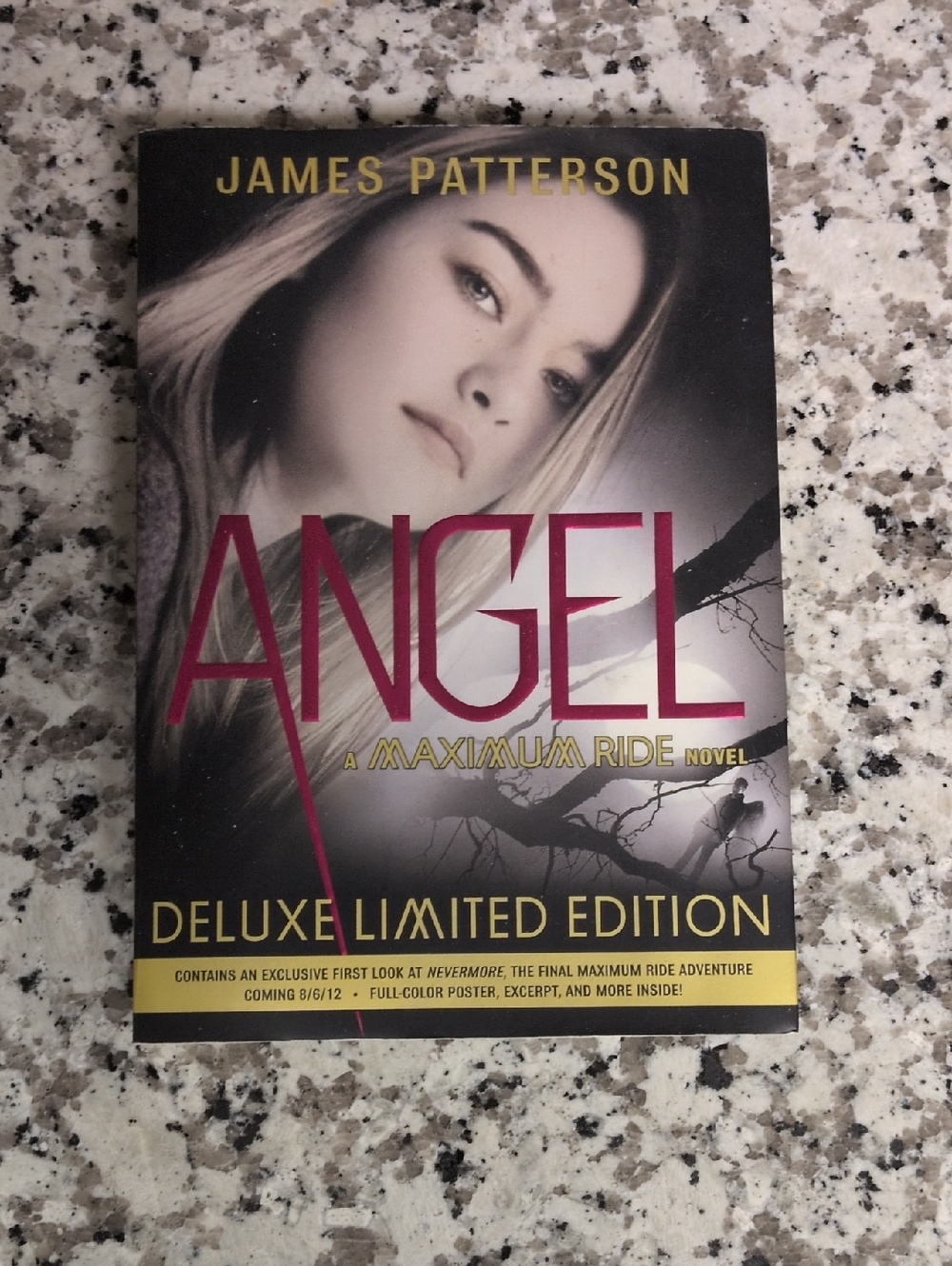 Angel Maximum Ride James Patterson Novel Romance